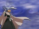 bleach W14 800x600~0.jpg